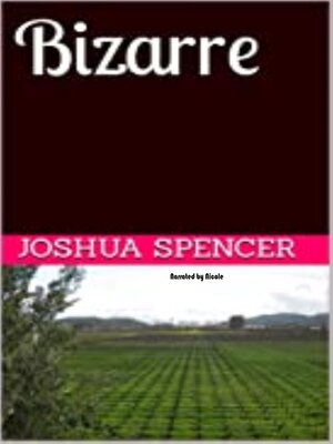cover image of Bizarre